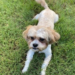 Meet your Posher, NYC-Finest!😊